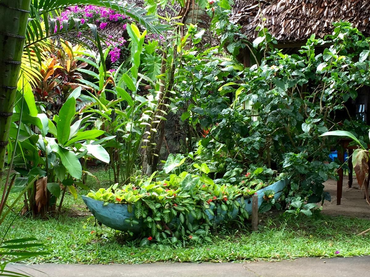 Hotel La Pirogue Mahambo Kültér fotó